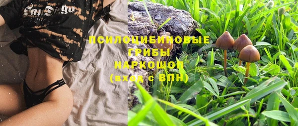 спайс Белокуриха