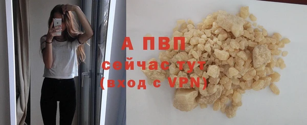 СК Балахна