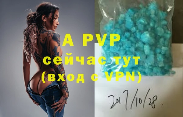 спайс Белокуриха