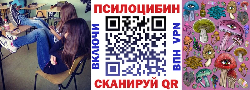 Галлюциногенные грибы GOLDEN TEACHER  закладка  Лесной 